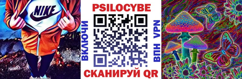 Галлюциногенные грибы прущие грибы  Сураж 
