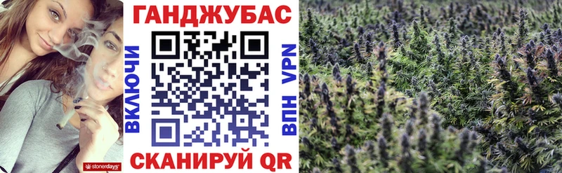 Бошки марихуана конопля Сураж